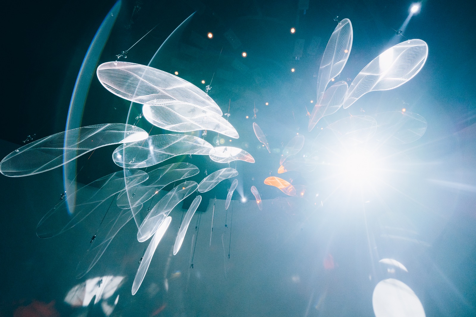 Art Installation One East Coast The Collective