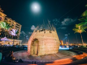 Nature Cocoon – Immersive Experience